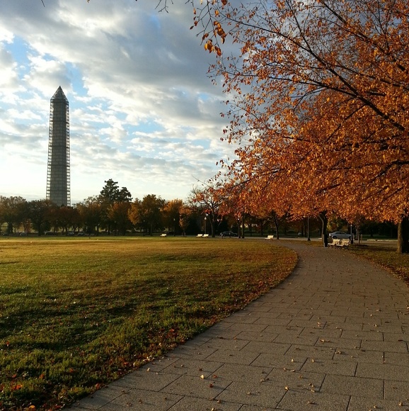 Meet your Posher, Sue - Picture 4 of 5